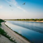 O Rio Eufrates flui calmamente por uma ampla margem de areia sob um céu azul sem nuvens. Vegetação verdejante margeia a beira do rio, e pássaros planam acima.