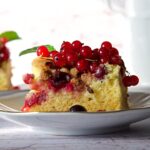 Você já ouviu falar da cranberry? Essa frutinha vermelha pequena e azedinha tem feito muito sucesso e não é para menos: ela é conhecida pelos seus benefícios à saúde