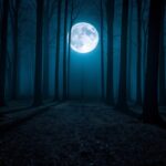 Uma floresta escura à noite com uma lua cheia brilhando através das árvores, projetando sombras estranhas no chão.
