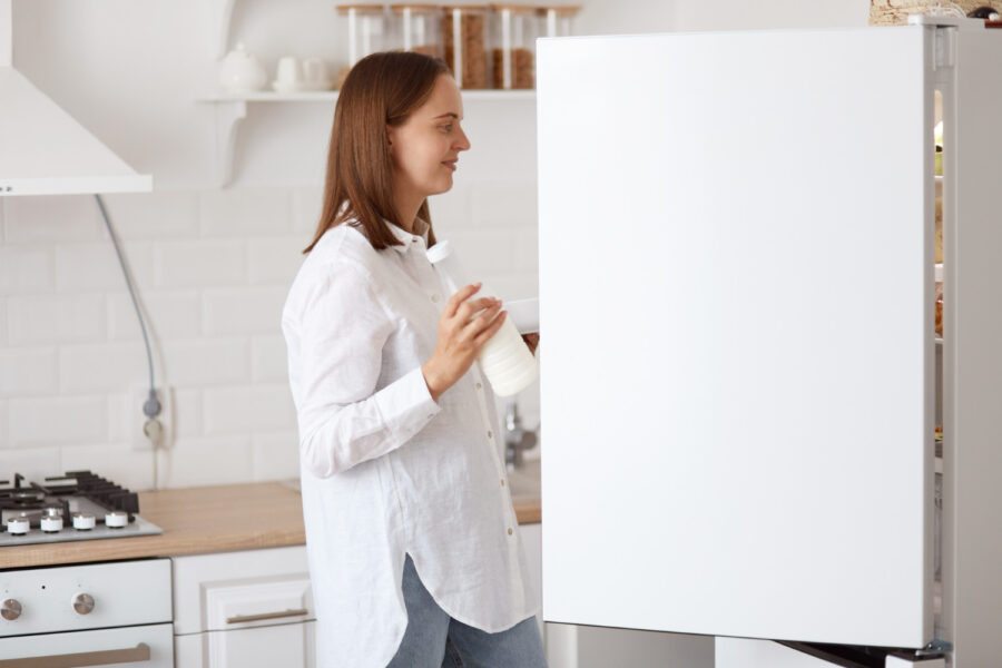 Geladeira frost free ou cycle defrost