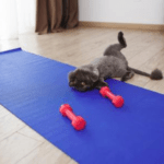 Descubra estratégias para combater o excesso de peso em felinos, garantindo mais longevidade, disposição e bem-estar para o seu gato A obesidade felina é um problema de saúde grave que reduz a expectativa de vida dos animais e pode desencadear doenças como diabetes e problemas articulares. É fundamental conscientizar os tutores sobre a importância de identificar o quadro e buscar orientação profissional para iniciar uma mudança segura de rotina.